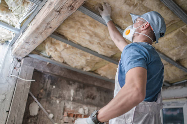 Best Residential Insulation in Carl Junction, MO