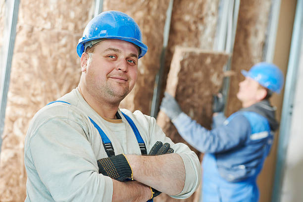 Best Commercial Insulation in Carl Junction, MO